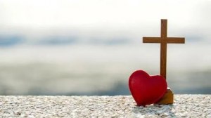 �����и�����������